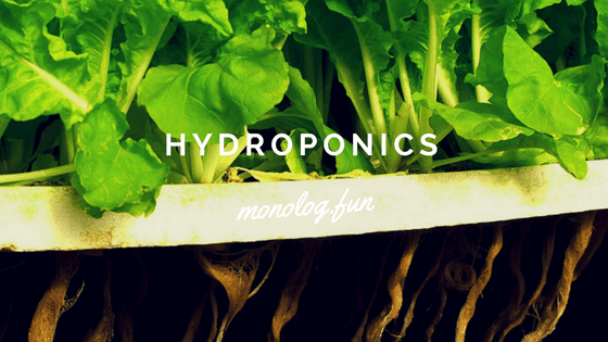 無農薬野菜はリビングで作る 水耕栽培キットの選び方や機能を解説 モノログ Fun
